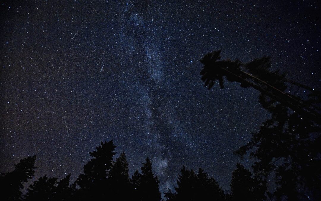 Las Perseidas y las noches de verano