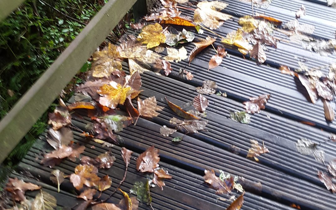 Y el otoño no llega