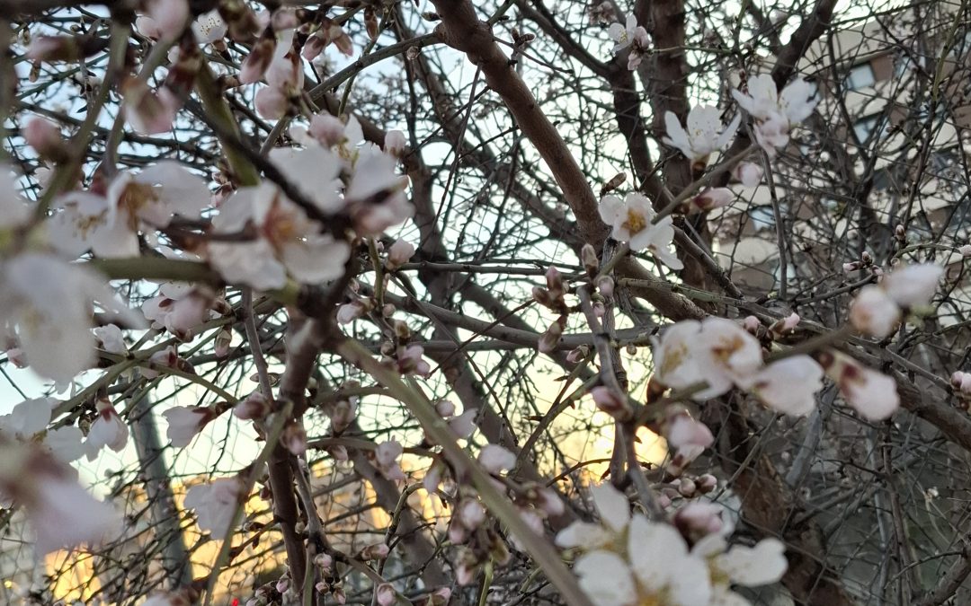 Ya es primavera (Y no solo en El Corte Inglés)
