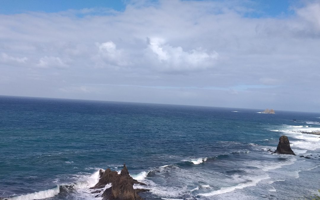 Llegó el verano